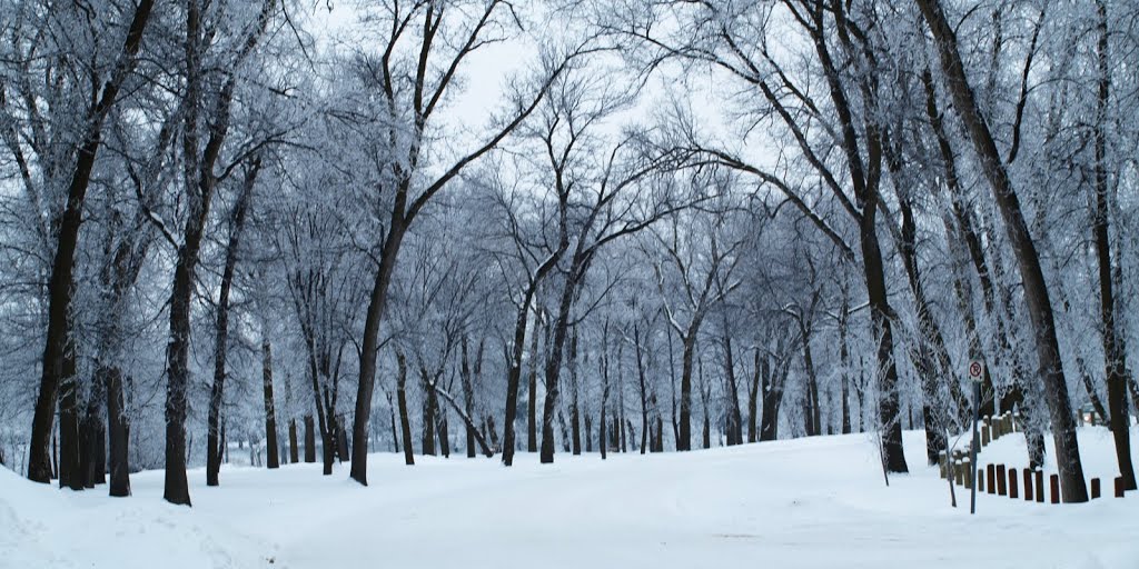 Crescent Drive park Winter 2010 by Shahnoor Habib Munmun