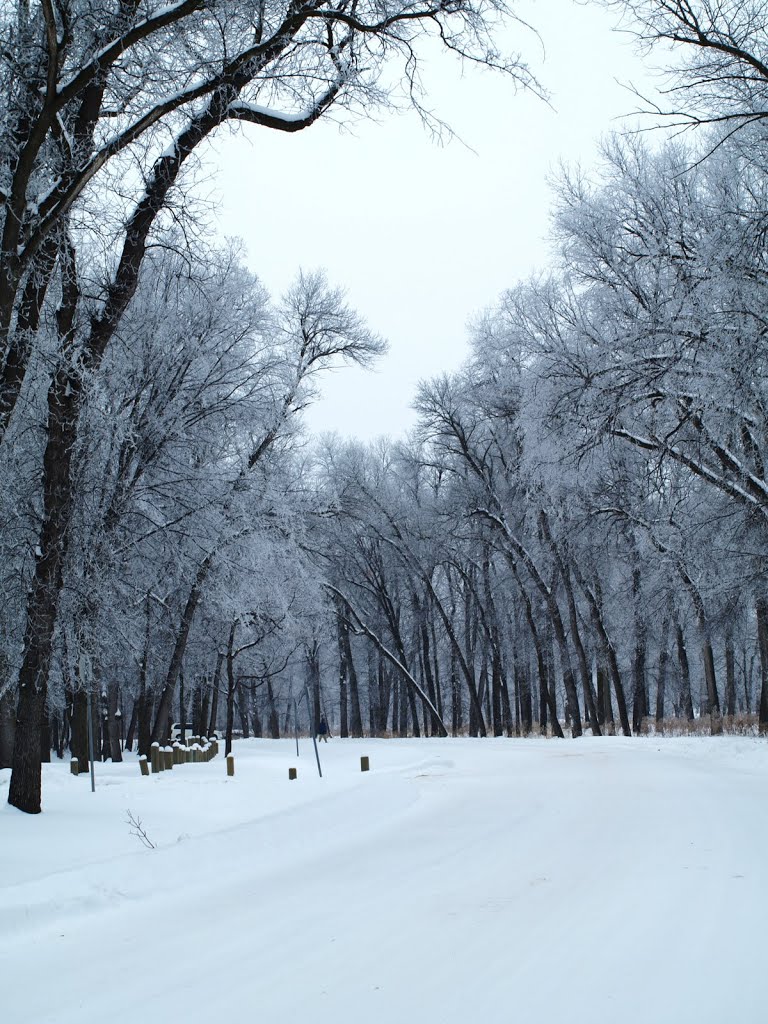 Crescent Drive park Winter 2010 by Shahnoor Habib Munmun