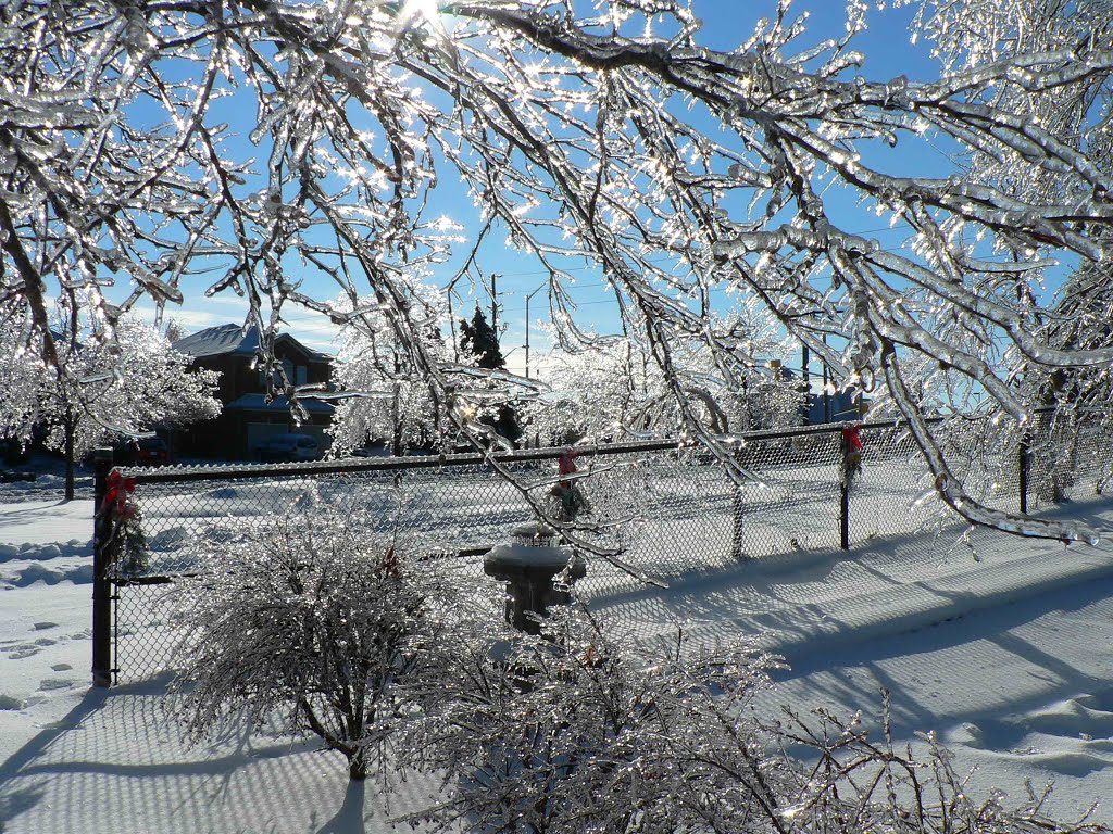 Sunshine after Ice Storm 2013 by rolfmueller