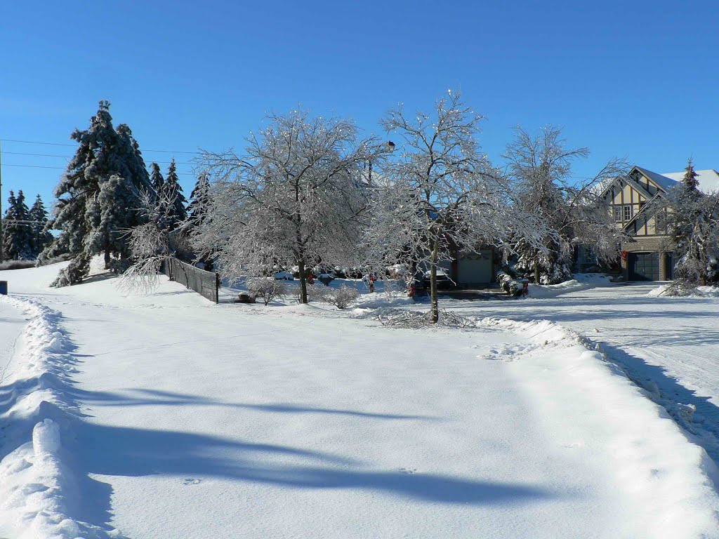 Sunshine after Ice Storm 2013 by rolfmueller