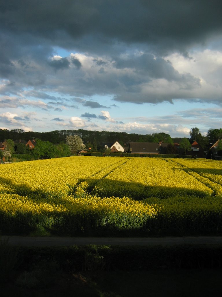 Nütterden, 47559 Kranenburg, Germany by Serge Helfrich