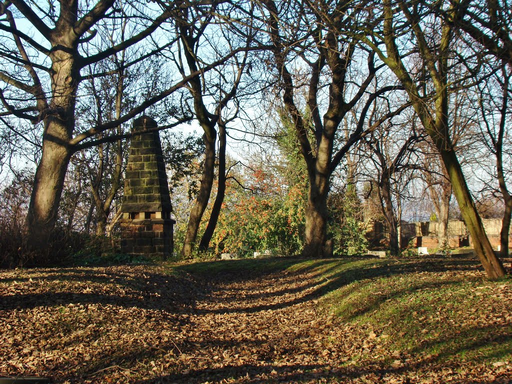 Moorgate Cemetery winter scene 7, Moorgate, Rotherham S60 by 6by7en