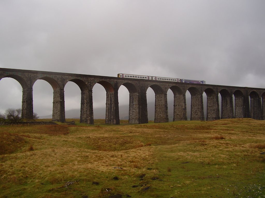 A train on the Ribblehead Viaduct by MJ.