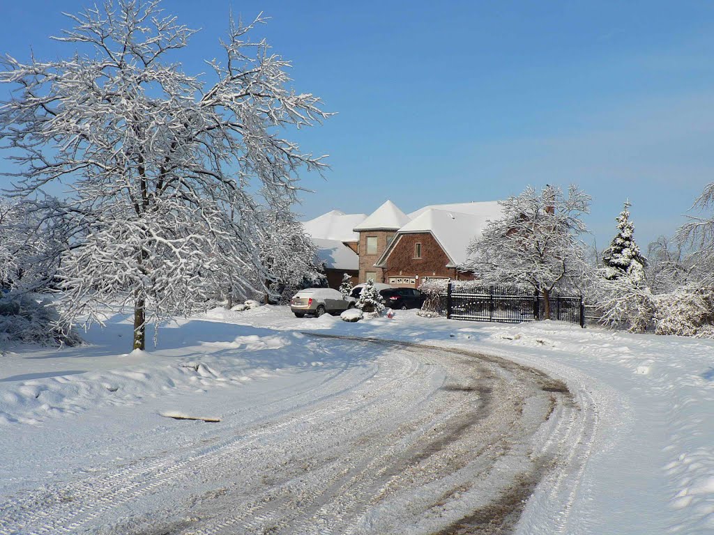 Winter_Landscape_26-Dec-13 by rolfmueller