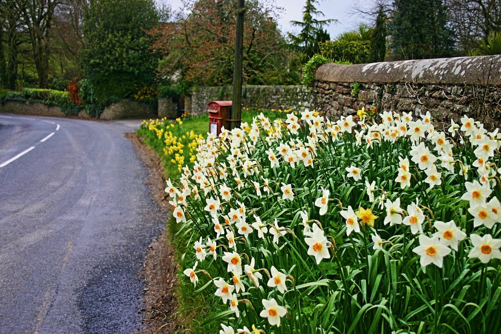 The Village Mail Box by Roger Powell