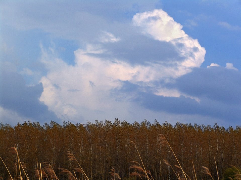 LauwersMeer by bton