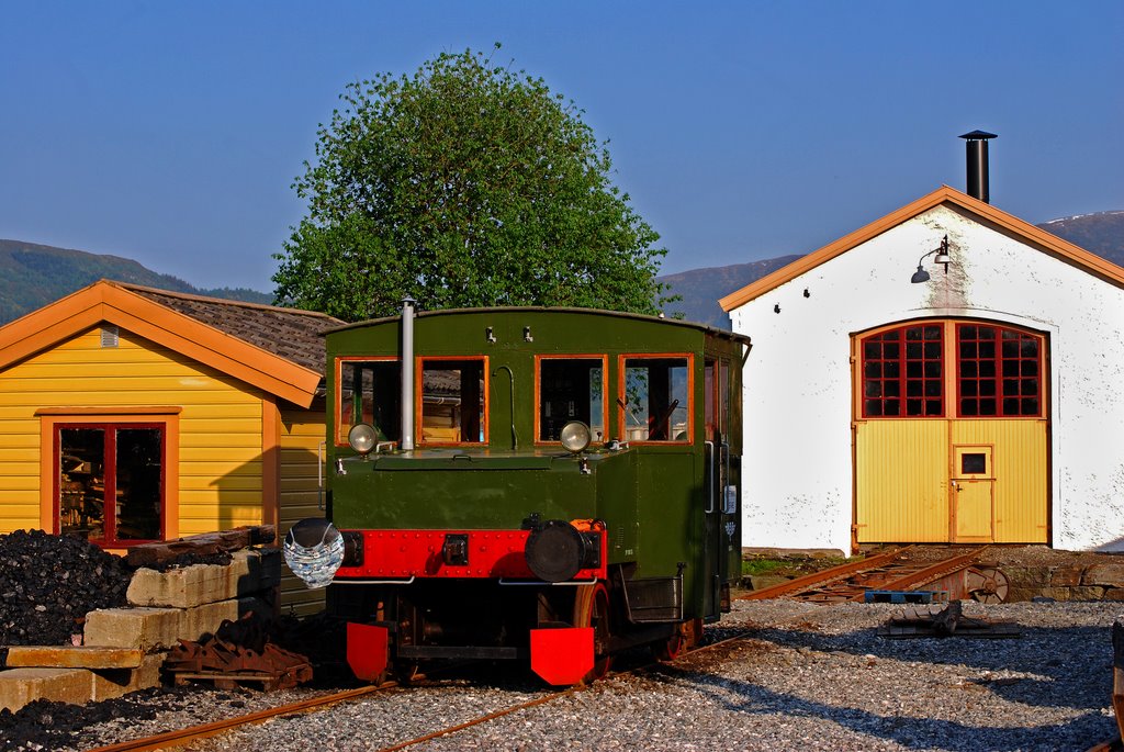 Small locomotive at Garnes railway depot by Thomas Ekrene