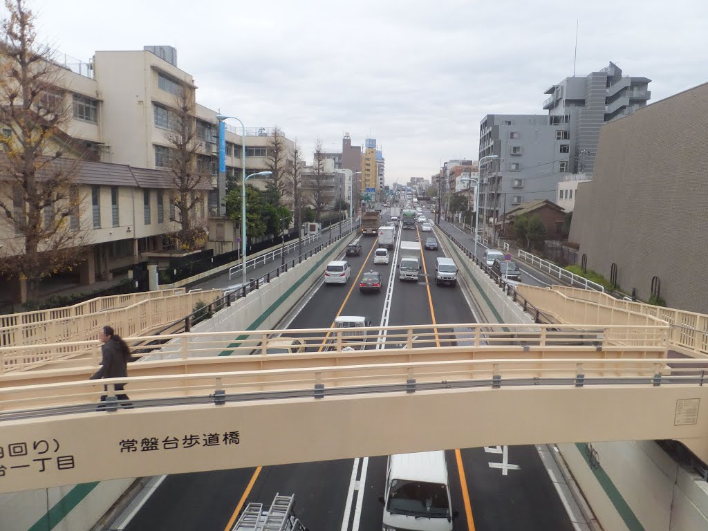 環七通り（東京都道318号線）　東武東上線車窓より by kanto-soshu_osumi-beach