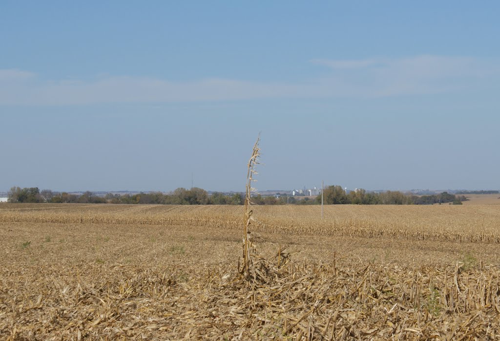 Greenwood, NE: harvest time 2010 by pylodet