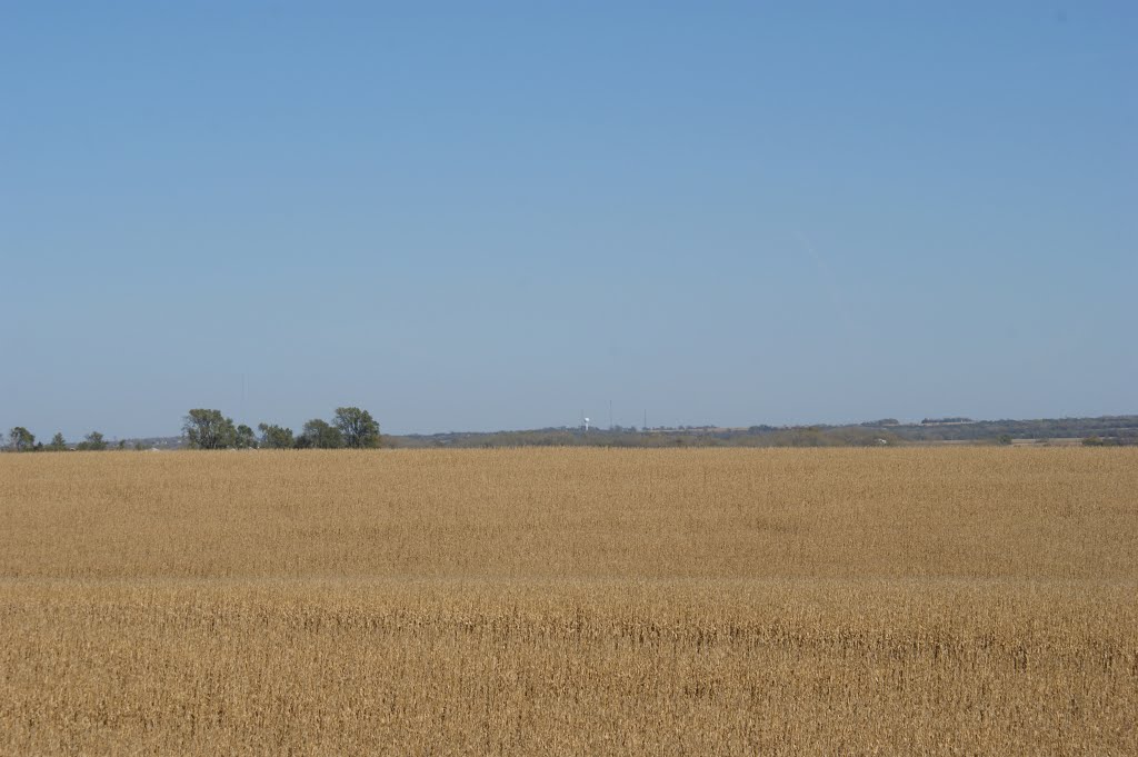 Greenwood, NE: harvest time 2010 by pylodet