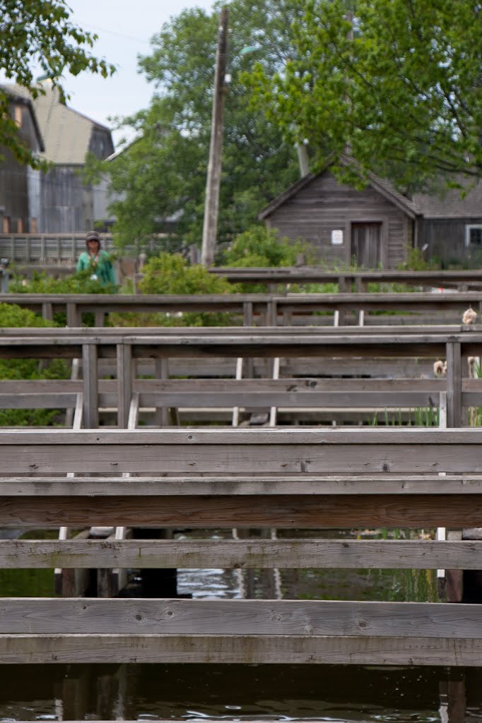 Steveston 04 by Pictographer