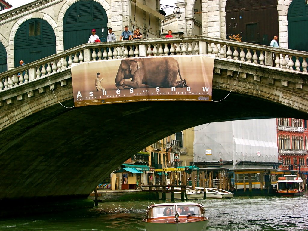 Rialto Bridge, Venice by Evgenia Ko