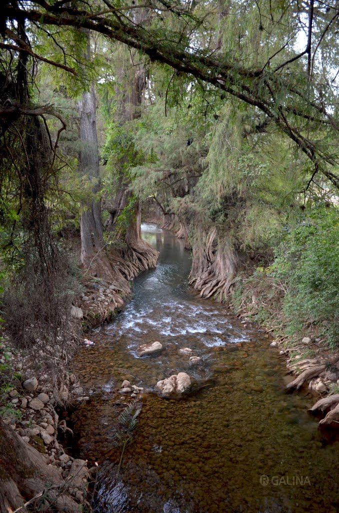 Creek near "La Y" by Rafael Galina P