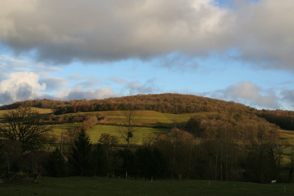 Vue sur le Mont Roger. 23/12/13 by Cort'