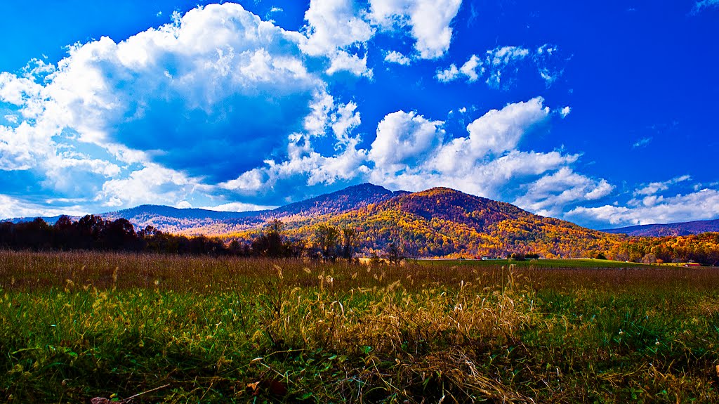 Old rag by Giovanni A Tario