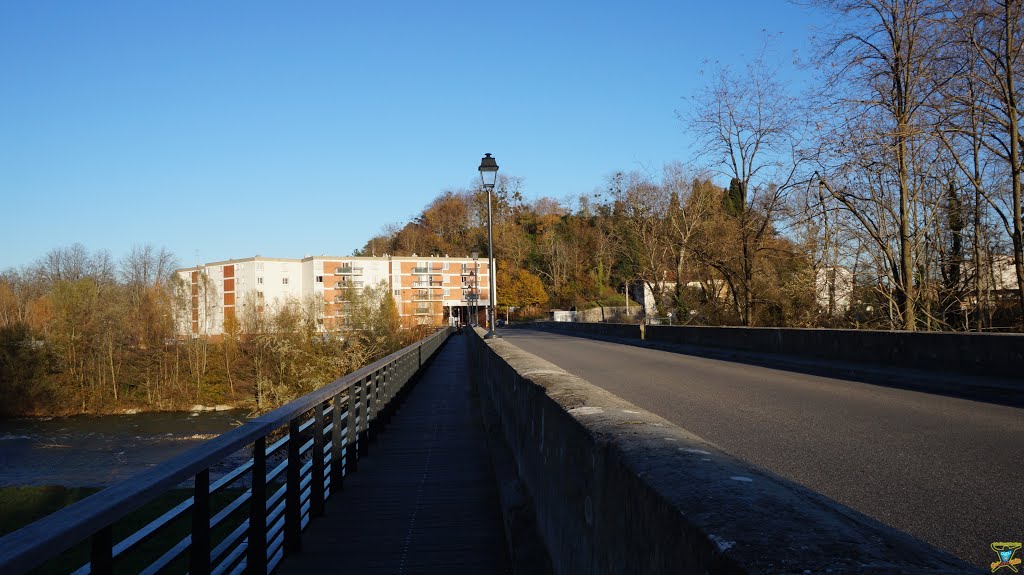 Pont-Neuf de Pamiers by Dudu DuLimousin