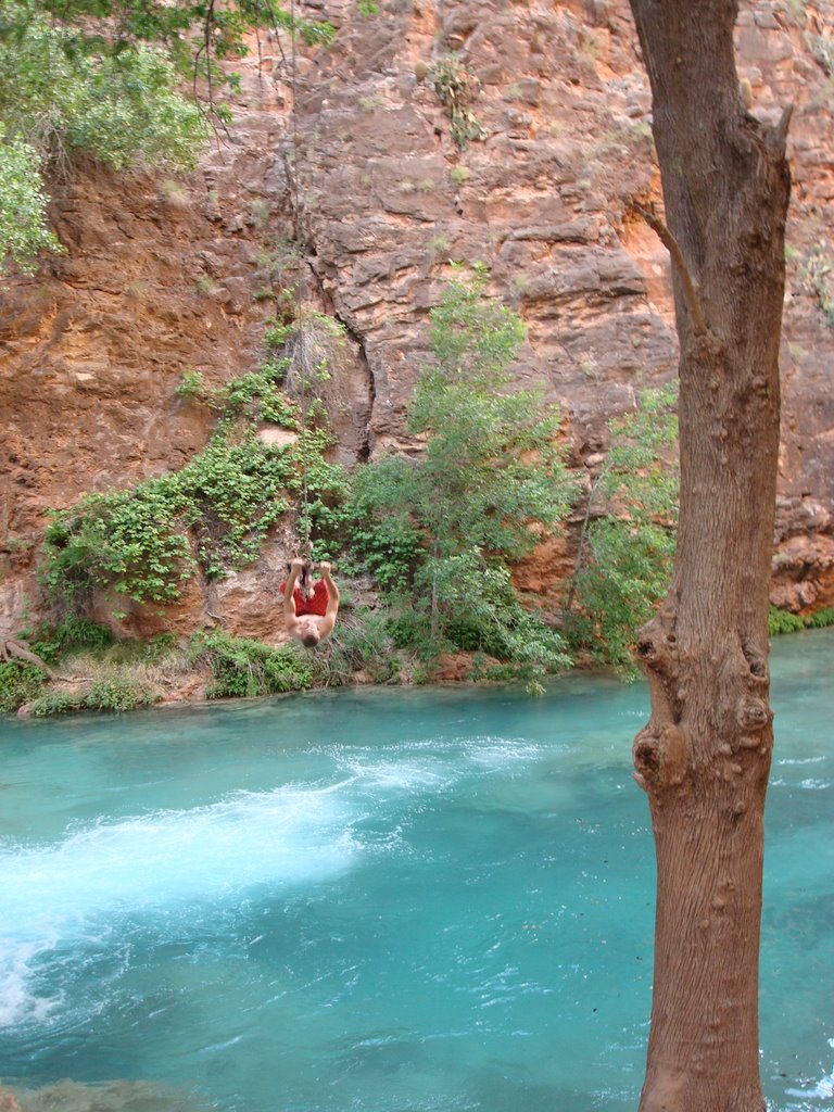 Rope Swing Between Mooney & Beaver Falls by AnthonyV.7