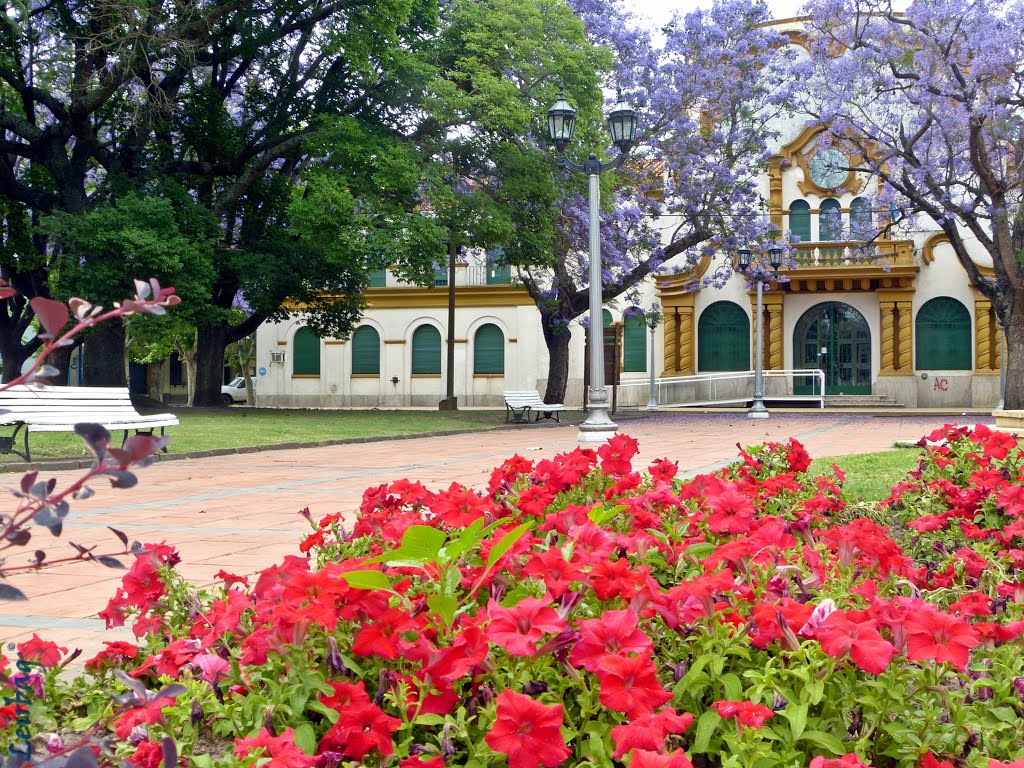 Palacio Municipal de Chascomús - Buenos Aires by ►Leirbag