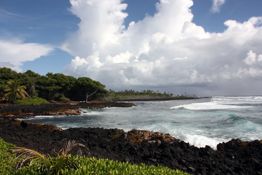 Bay at Hale park by Jake Kleinknecht