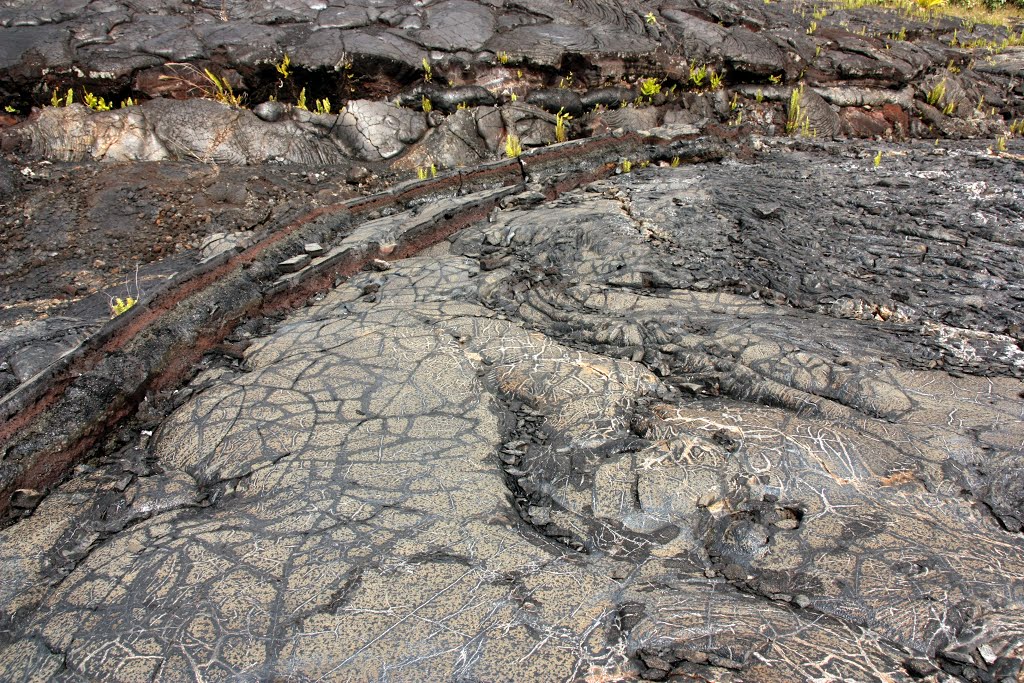 This lava looks like a turtle by Jake Kleinknecht