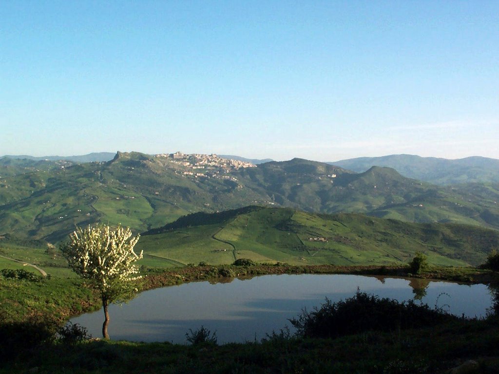 Vista di Troina da Monte Salici by giomodica