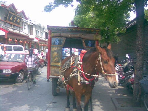 Horse Truck at Qifu by Robin Voon