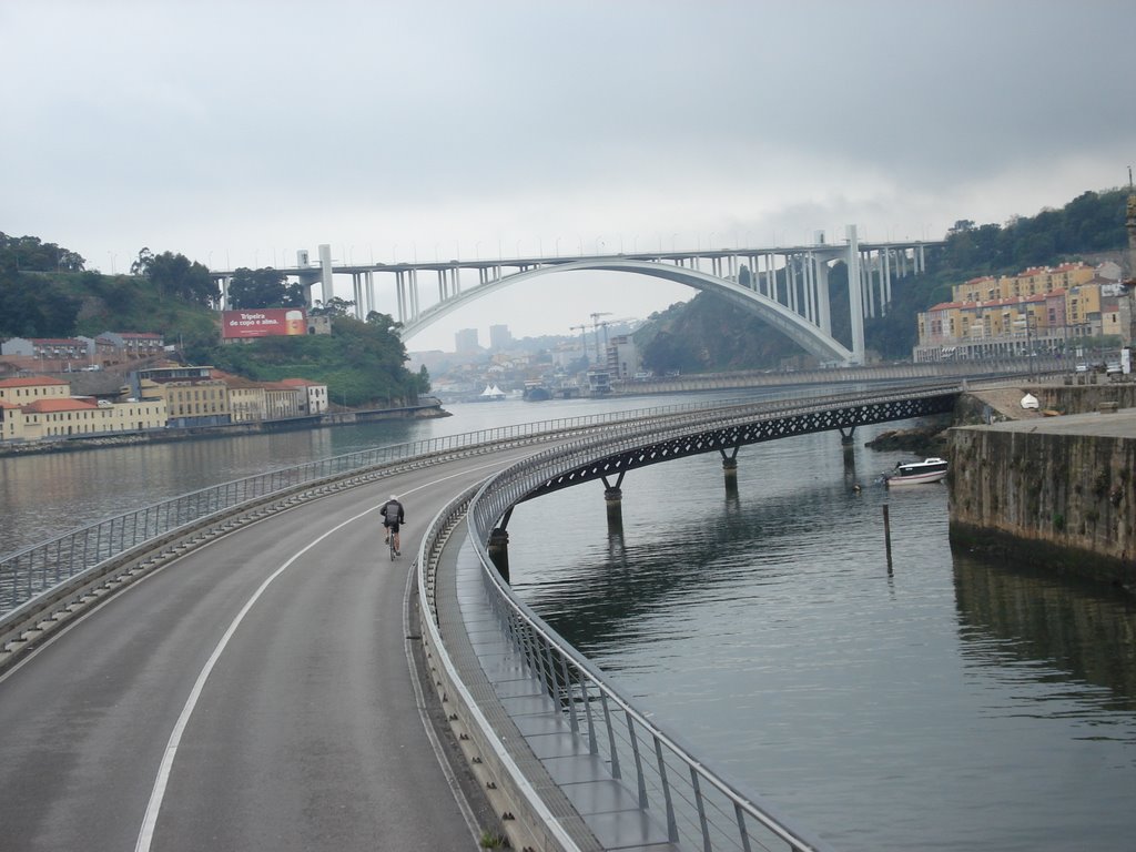 Alameda de Basilio Teles, Porto by cborisa