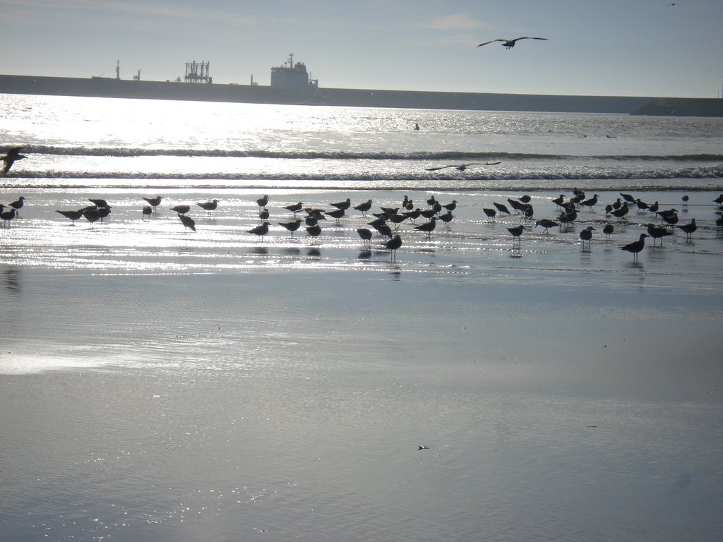 Atlantic ocean, Porto by cborisa