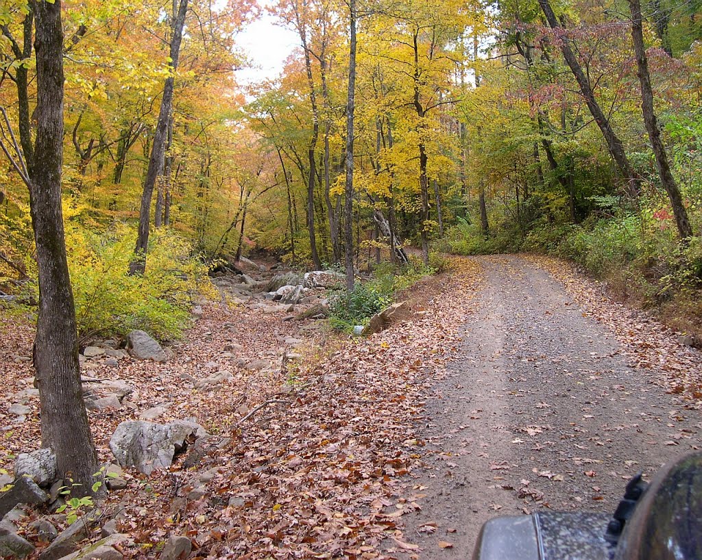 The Lick Branch Creek by Stinoid