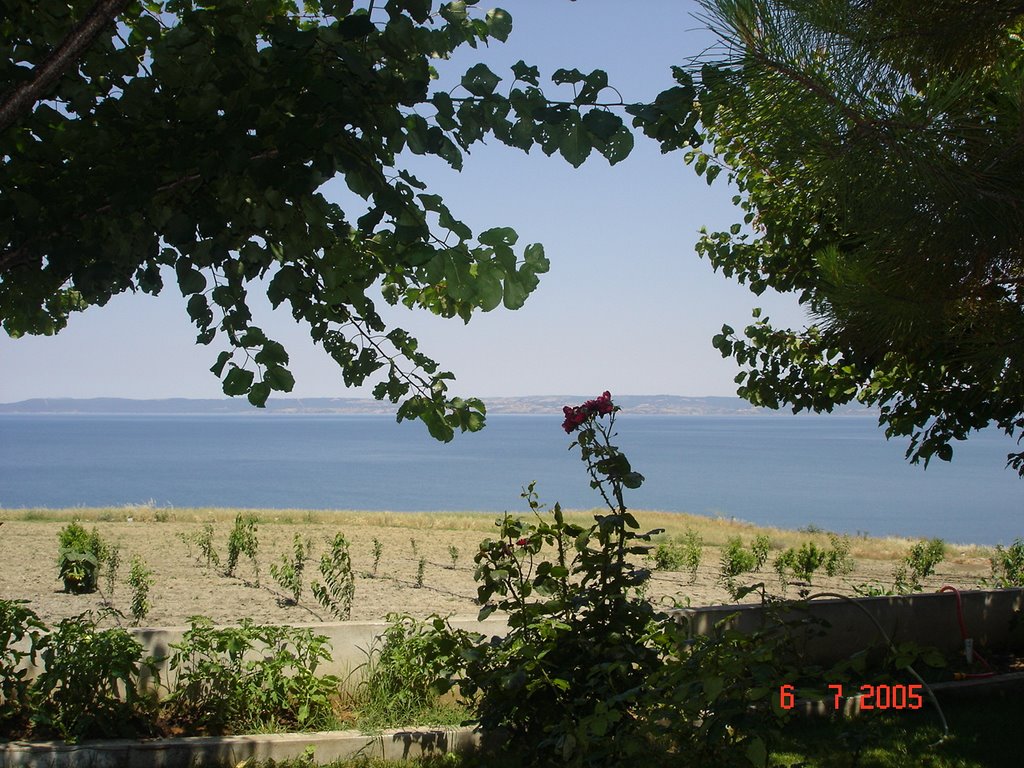 View Saros Bay from Guneyli Village, Gallipoli by Seref Halicioglu