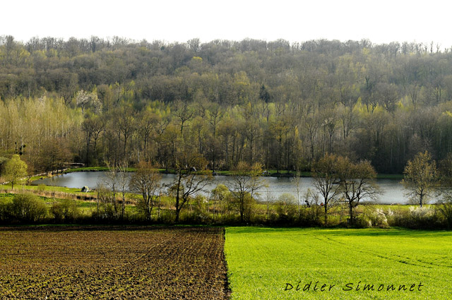 MARAIS DE SAINT-GOND by Didier Simonnet