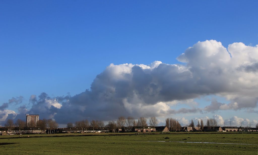 Nederland - Spijkenisse by Henny  Brouwers