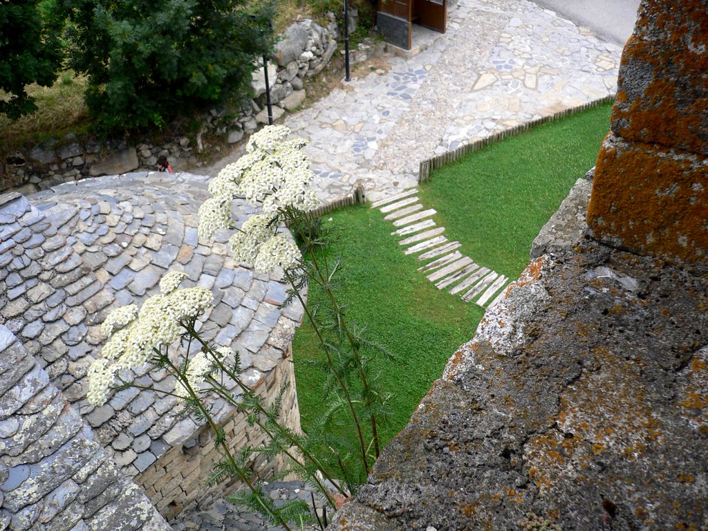 Vista desde la torre by Pepe G Romera