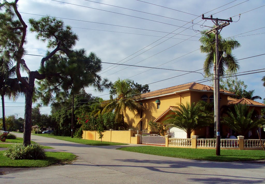 Pine tree at Miller & Oakwood Dr by John M Lopez