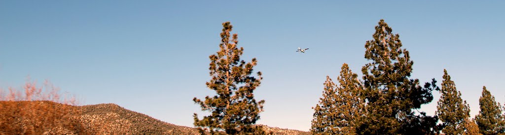 In Plane Sight • Big Bear by Easy Street Images ©