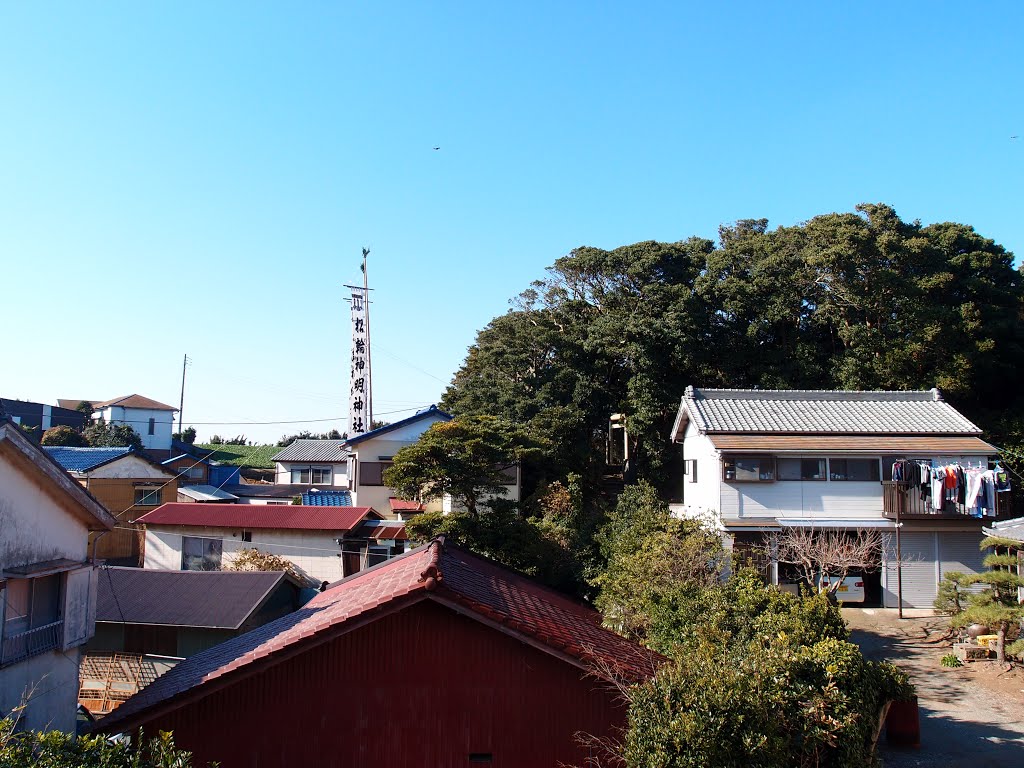 神奈川県三浦市南下浦町松輪 by ไก่-8