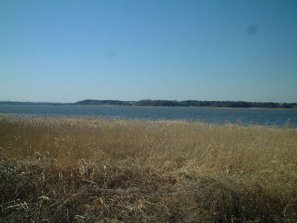 Inba marsh from "Birthplace" plaza by miyanose