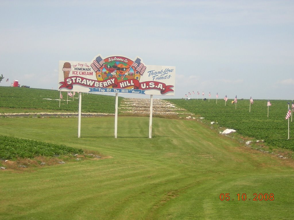 Cooley Peach Farms & Strawberry Hill USA by Kyle Stephen Smith