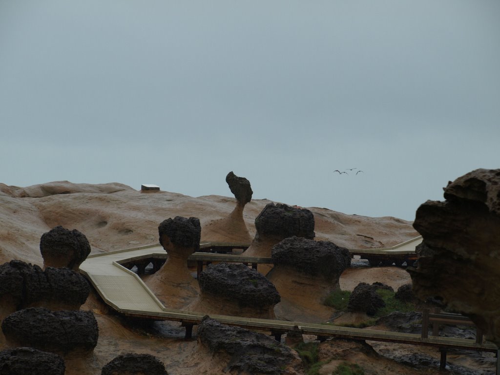 Yehliu Geopark by thoon