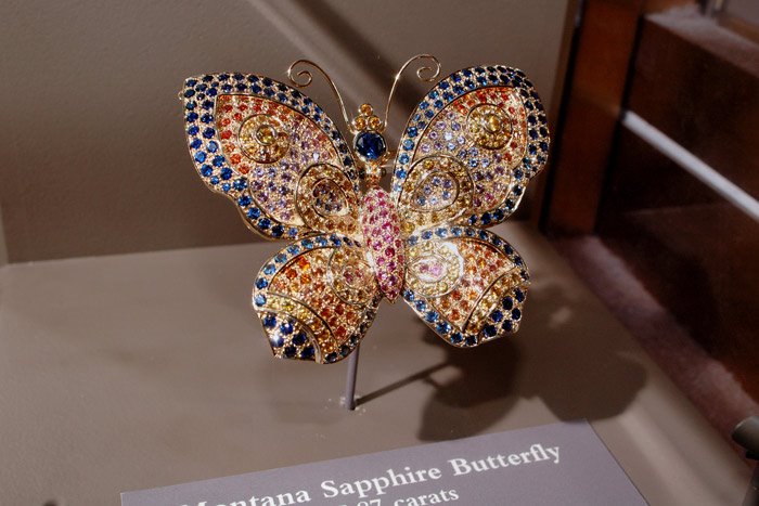 Montana Sapphire Butterfly - National Museum of Natural History, Washington, DC by Woodie Jose