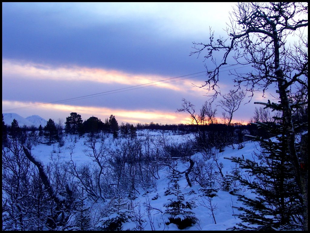 Tromso by poisongirl4