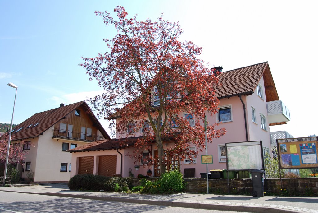 Alemania, Gültlingen by Milton Hubert