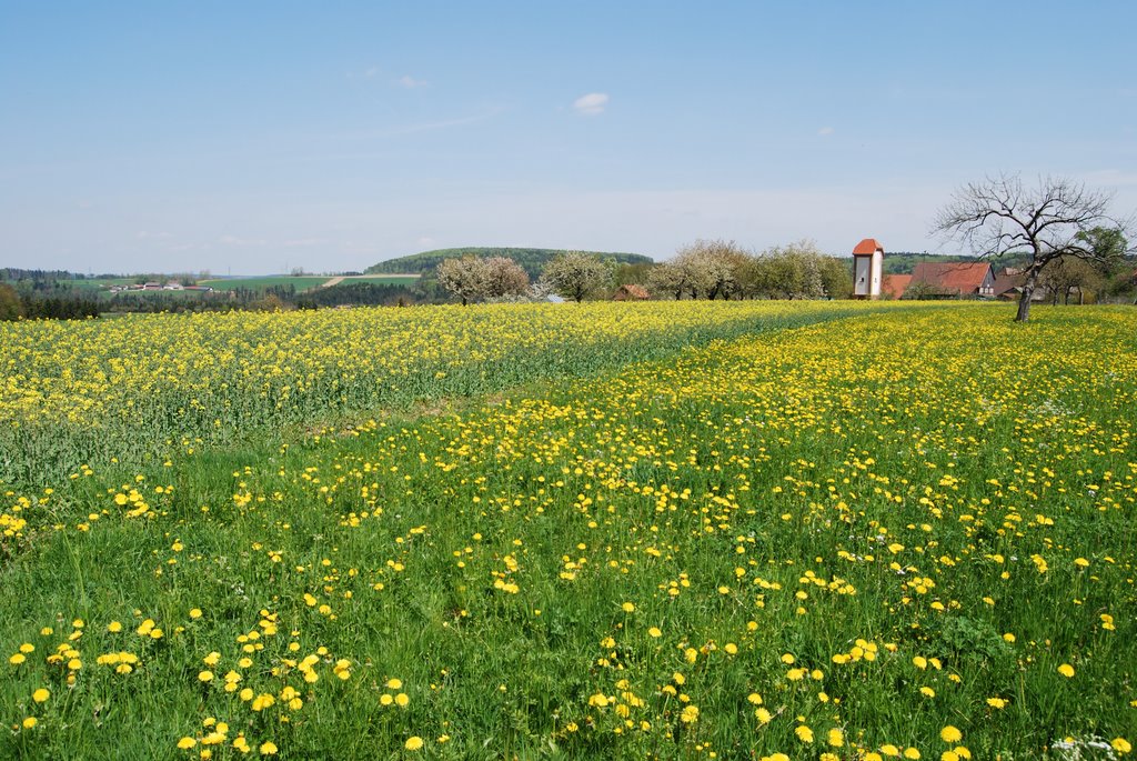 Alemania, Holsbronn by Milton Hubert