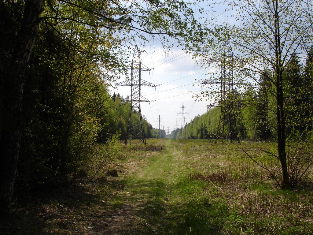 Mytishchinsky District, Moscow Oblast, Russia by Roman Romique