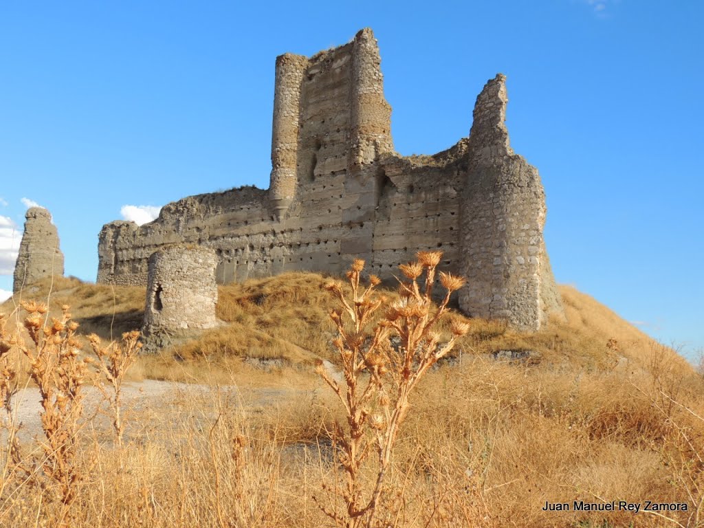 Fuentidueña de Tajo, Castillo de los Piquillos-Madrid-20131005 by Juan Manuel Rey Zamora