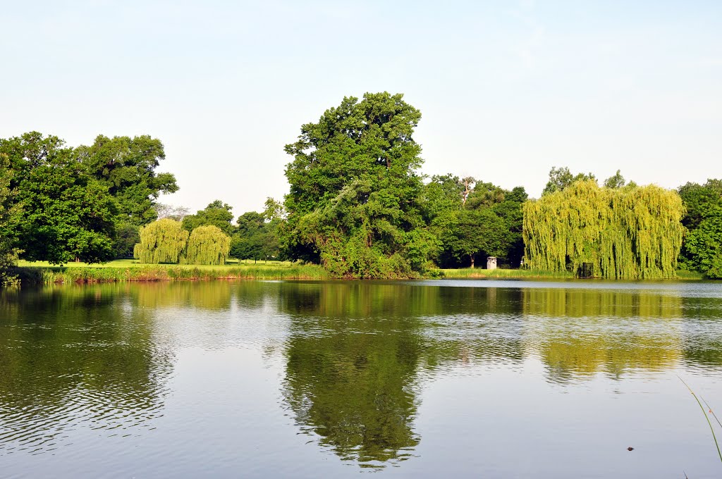 Summer in Washington Park - Winter vs Summer view (same view) by Antoine Jasser