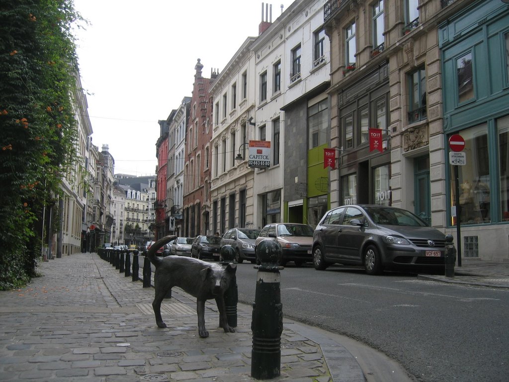 Bruxelles, Rue des Chartreux - BELG by Liliane Dusewoir