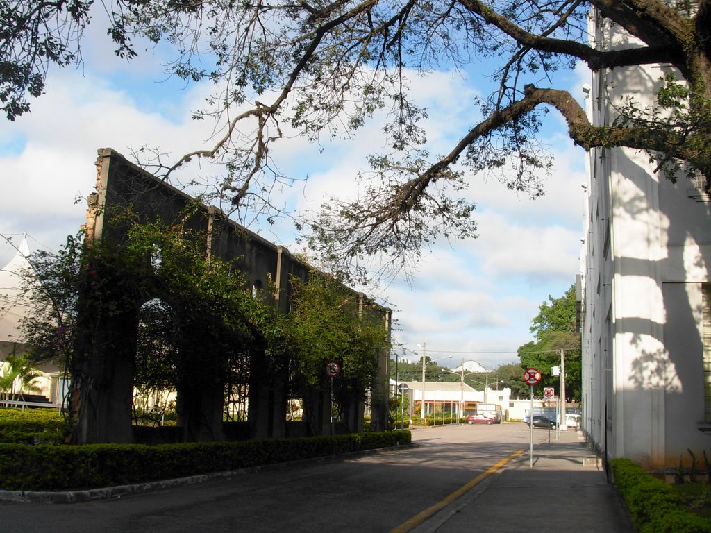 Preservação do mural junto ao jardim. by joao batista shimoto