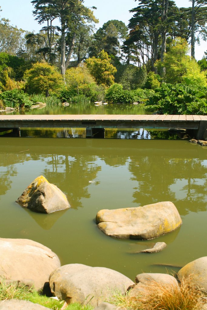 Lake at SF Botanical Garden by Rosencruz Sumera