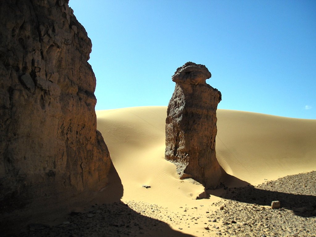 Tassili du Hoggar by Dominique Insenga